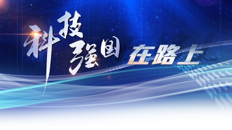 企业级搜索故障排查：揭秘高效诊断之道