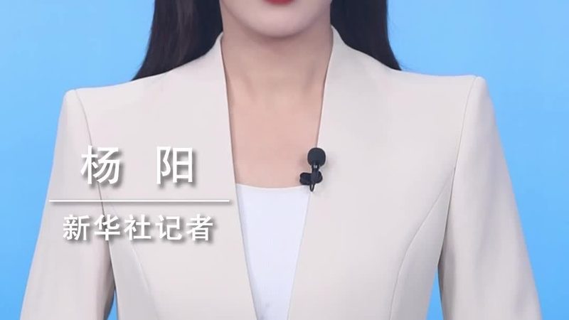 数据可视化工具：参数对比背后的关键考量
